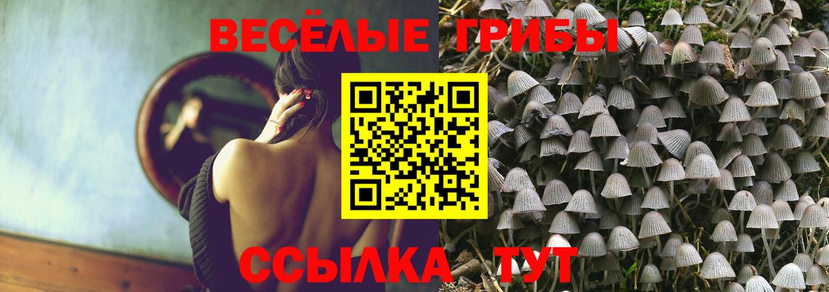 Галлюциногенные грибы Psilocybe Чусовой