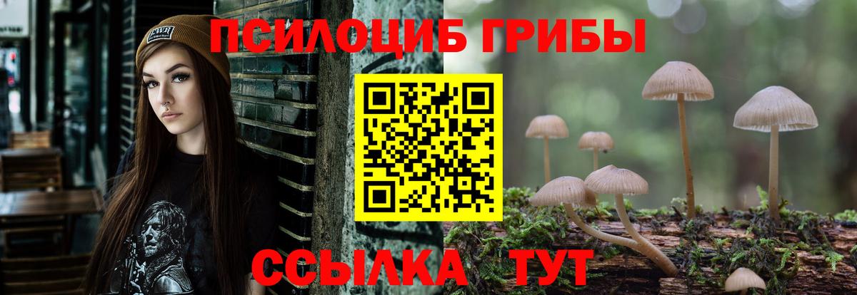 Галлюциногенные грибы Magic Shrooms  Вход с VPN  Чусовой 