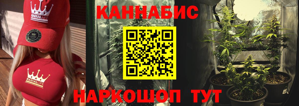 Каннабис конопля  Каннабис Amnesia  Бошки Шишки Bruce Banner  Вход с VPN  Чусовой 